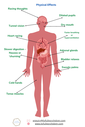 Physical effects on the body of Anxiety