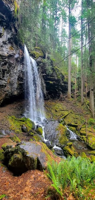 Waterfall Hwy, OR - Grotto Falls, falling from a huge, overhanging rock formation