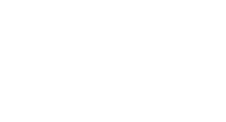 WolfXense AI logo