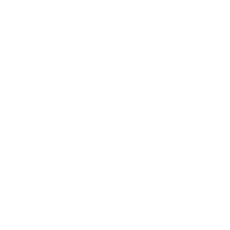 DanFalk Designs LLC logo
