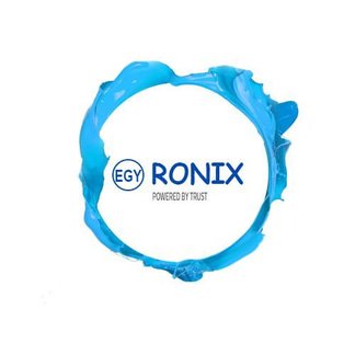 EGY-RONIX logo