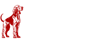 Bloodhound Research logo