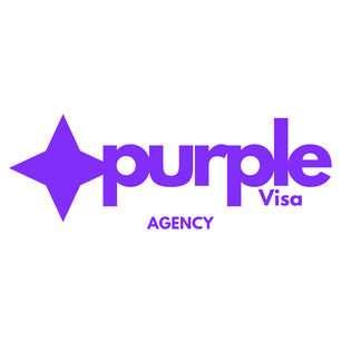 Purple Visa logo