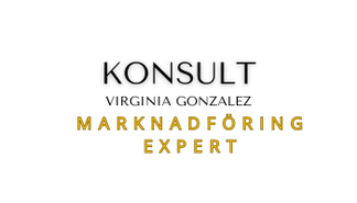 Virginia Gonzalez Portfölj logo