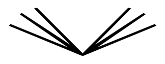 Volcan de Agua logo