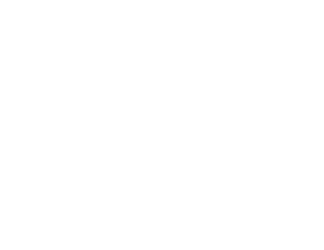 SRG Studios: Action-Packed PC Games for Steam & Epic Store  logo