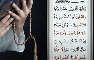 reading Quran