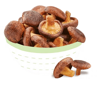 Forestly Crunchy Mushroom Chips