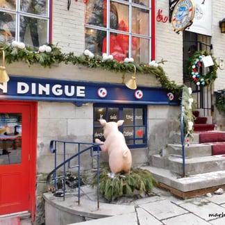 Cochon curieux par la fenêtre.