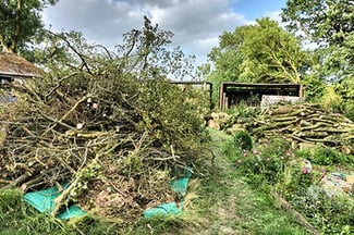 Green waste removal