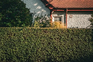Hedge Pruning