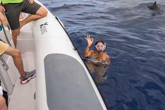 Swimming with dolphins in Madeira