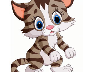 Baby kitten Afraid 