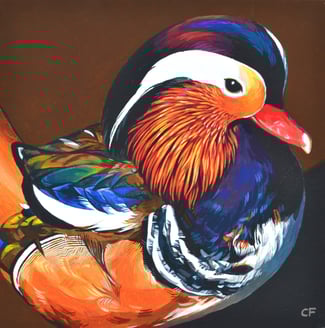 a painting of a mandarin duck with lovely plumage