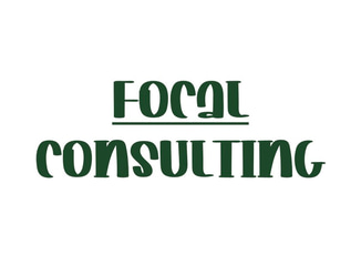 Punch Consulting logo