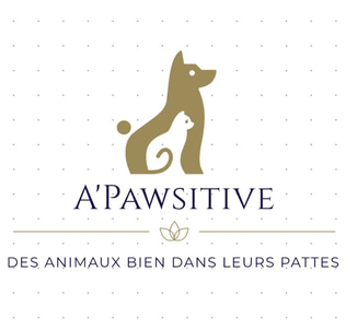  A Pawsitive Comportementaliste félin et Canin logo