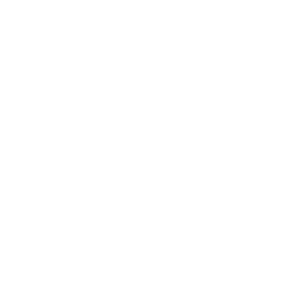 TheOne Studios logo