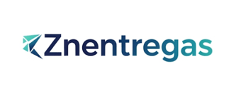 ZN ENTREGAS logo