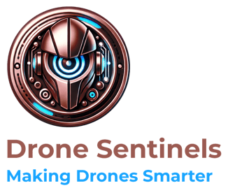 Drone Sentinels logo