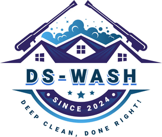 DS-Wash logo