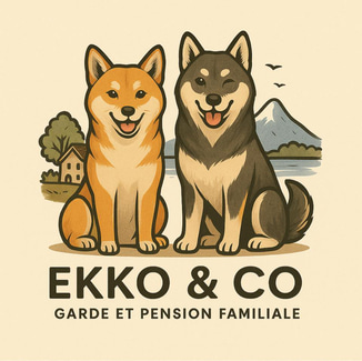 EKKO & CO logo