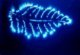 kirlian photography