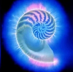 kirlian photography