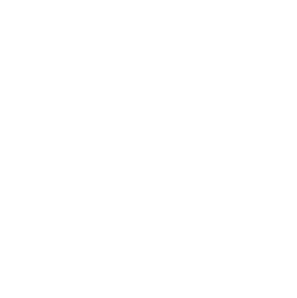 water wings logo