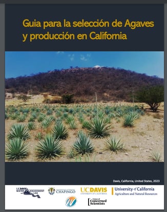 Spanish Version Guide California Agave Selection and Production