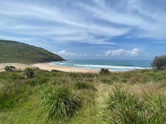 beach with ocean views and rolling hills in background
