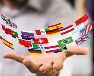 Flags of different countries in a circular form showing network access