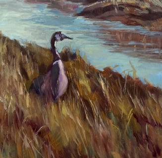 oil paining, duck hunting on Cape Cod. Image of duck 