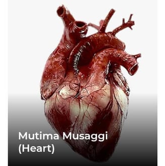 mutima-musagi