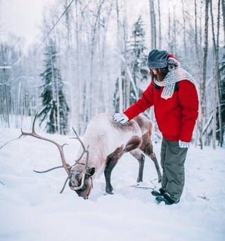 Fairbanks, AK - Several places to visit, pet, and feed reindeer