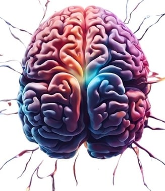 Representação artística de um cérebro humano com cores vibrantes,destacando áreas e conexões neurais