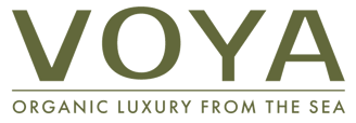 VOYA logo
