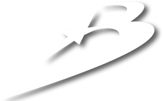 BASHKAM logo