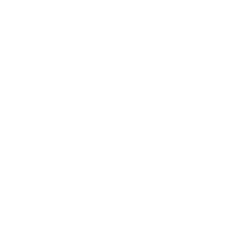 EVSN logo