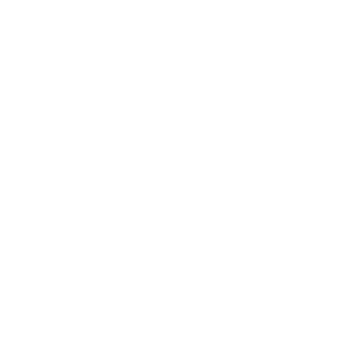 Ammon Leather logo