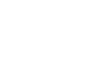 Feder Prime Properties logo