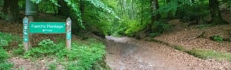 Hiking path close to Mossø