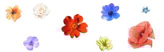 Support & Healing After Divorce | Grace Blooming