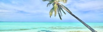 Balabac Island Palawan