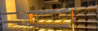 solar led street light aging test