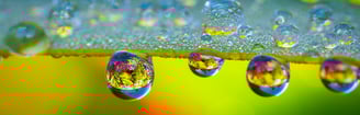 Macro - Reflection from the water droplet