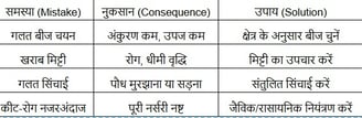 फूलगोभी नर्सरी की गलतियाँ।