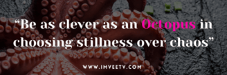 imveetv.com, the weight of the wait prayer journal