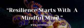 imveetv.com Resilience, Growth Mindset
