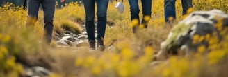 a group of people walking on a trail