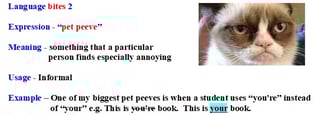 english expression  - pet peeve